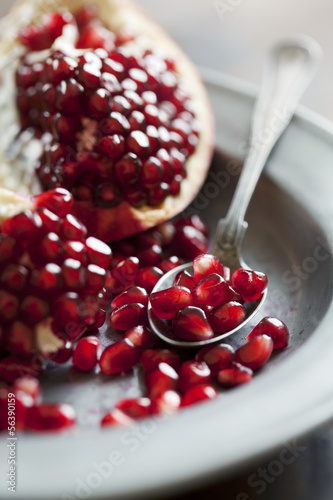 Photo: pomegranate pomegranate