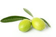 Due olive verdi mature