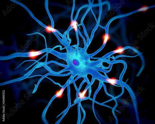 Illustration: active nerve cell or neurons active nerve cell or neurons