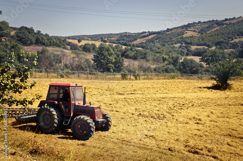 Photo: agriculture agriculture
