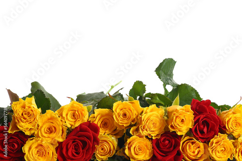 Photo: yellow and red roses yellow and red roses