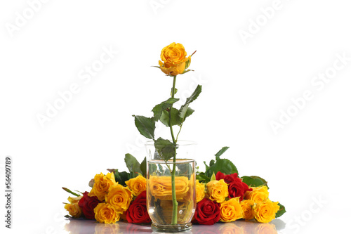 Photo: yellow and red roses in a vase yellow and red roses in a vase