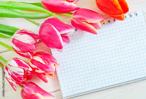 Photo: tulips and note tulips and note