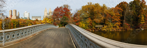 Photo: Panoramic view of Central Park autumn trees from Bow Bridge Panoramic view of Central Park autumn trees from Bow Bridge