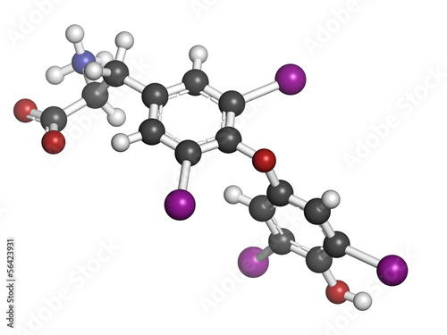Photo: Thyroxine molecule, chemical structure. Thyroid gland hormone Thyroxine molecule, chemical structure. Thyroid gland hormone