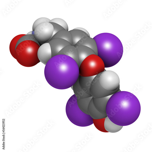 Illustration: Thyroxine molecule, chemical structure. Thyroid gland hormone. Thyroxine molecule, chemical structure. Thyroid gland hormone.