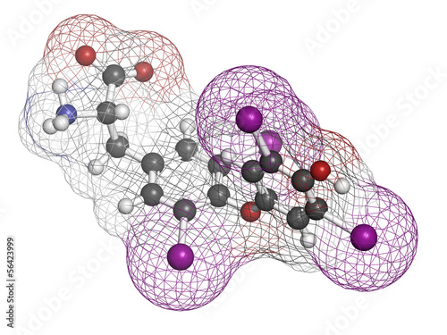 Illustration: Thyroxine molecule, chemical structure. Thyroid gland hormone. Thyroxine molecule, chemical structure. Thyroid gland hormone.