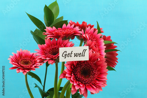 Photo: Get well card with dark pink gerbera daisies Get well card with dark pink gerbera daisies