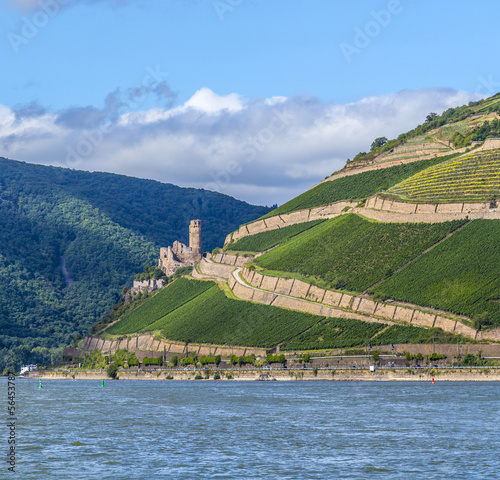 Photo: Ehrenfels castle in the vineyards of the Rhine valley Ehrenfels castle in the vineyards of the Rhine valley