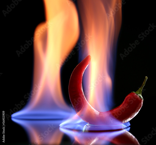 Photo: Red hot chili pepper on fire, isolated on black Red hot chili pepper on fire, isolated on black