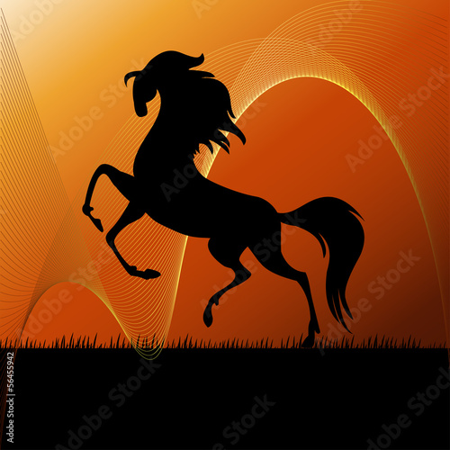 Vector: Running horse on grass silhouette Running horse on grass silhouette