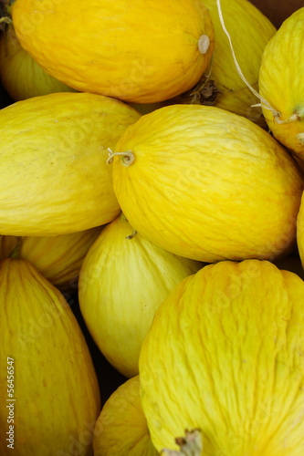 Photo: Melon Background. Melon Background.