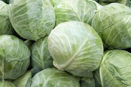 Photo: cabbages cabbages