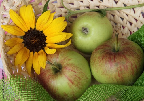Photo: Äpfel mit Sonnenblume im Körbchen Äpfel mit Sonnenblume im Körbchen