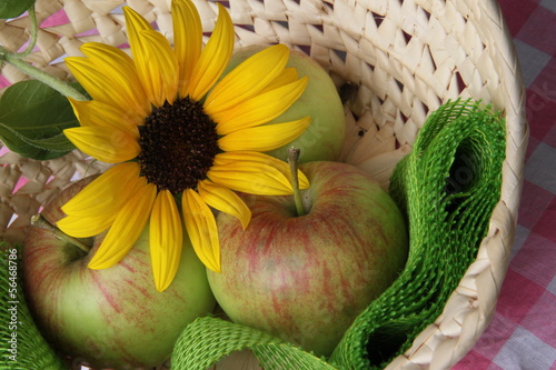 Photo: Äpfel mit Blüte einer Sonnenblume im Körbchen Äpfel mit Blüte einer Sonnenblume im Körbchen