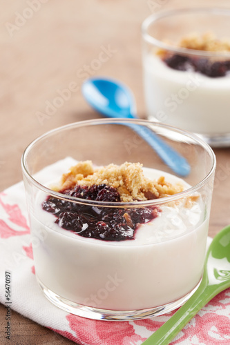Photo: Yoghurt with berry jam Yoghurt with berry jam