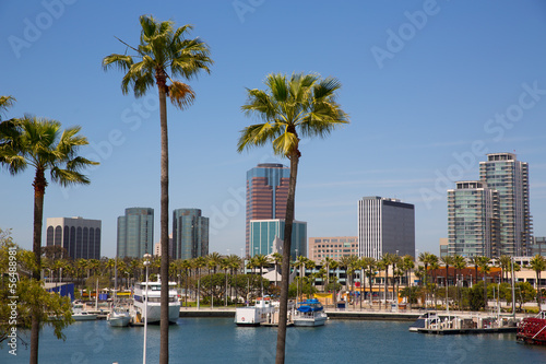 Photo: Long Beach California skyline from palm trees of port Long Beach California skyline from palm trees of port