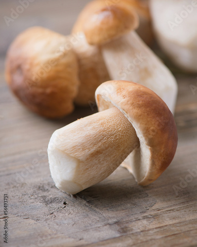 Photo: Mushroom Boletus over Wooden Background. Autumn Cep Mushrooms Mushroom Boletus over Wooden Background. Autumn Cep Mushrooms