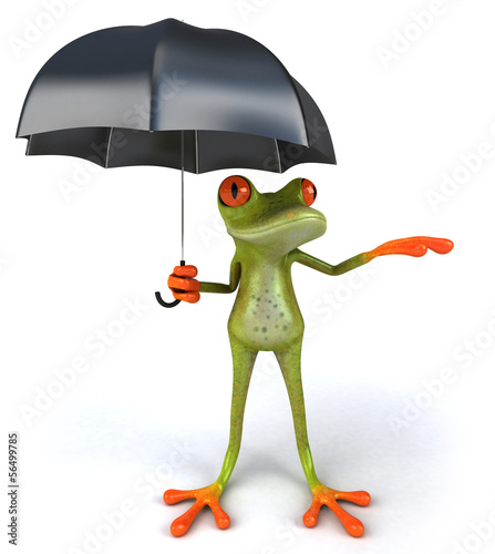 Illustration: Frog Frog