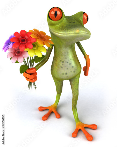 Illustration: Frog Frog