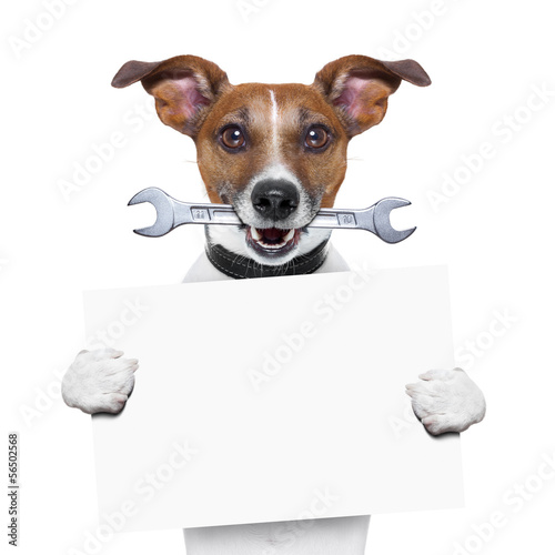 Photo: craftsman dog craftsman dog