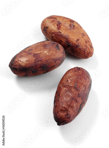 Photo: cocoa beans isolated cocoa beans isolated