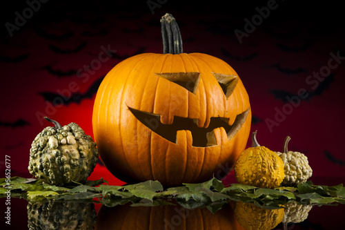 Photo: Halloween pumpkin in the Grass Bats Halloween pumpkin in the Grass Bats