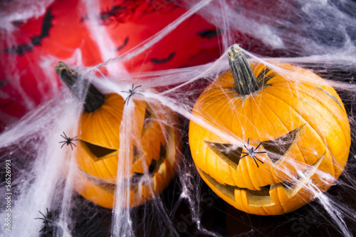 Photo: Halloween background with web and spider,pumpkin Halloween background with web and spider,pumpkin