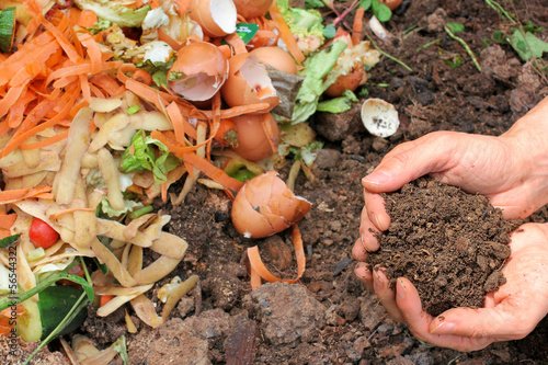 Photo: Kompostierte Erde, Komposthaufen, compost Kompostierte Erde, Komposthaufen, compost
