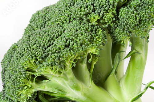 Photo: Nutritious broccoli sheaf isolated on white background Nutritious broccoli sheaf isolated on white background