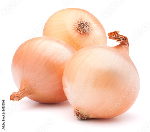 Photo: Gold onion vegetable bulbs Gold onion vegetable bulbs