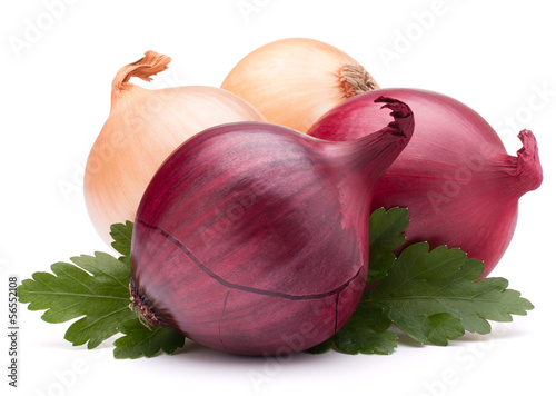 Photo: Onion vegetable bulb and parsley leaves still life Onion vegetable bulb and parsley leaves still life