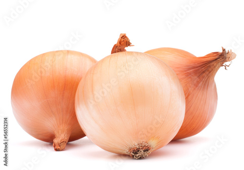 Photo: Gold onion vegetable bulbs Gold onion vegetable bulbs