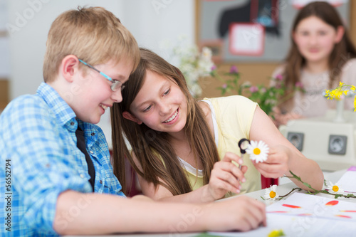 Photo: Schüler untersuchen Pflanze im Bio-Unterricht Schüler untersuchen Pflanze im Bio-Unterricht