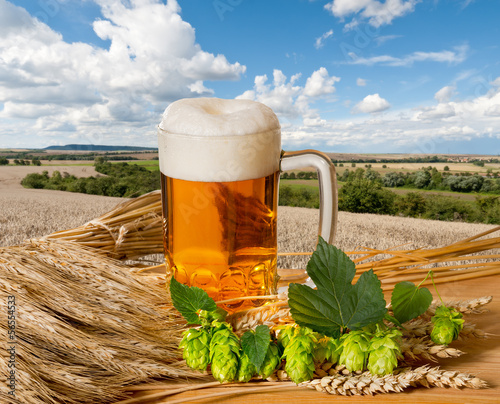 Photo: still life with beer still life with beer