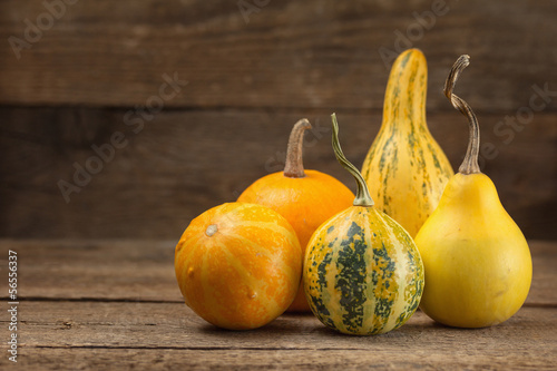 Photo: Assorted ornamental gourds Assorted ornamental gourds