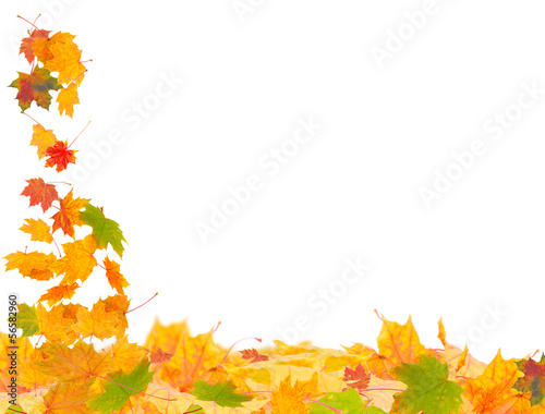 Photo: Fliegendes Herbstlaub Fliegendes Herbstlaub