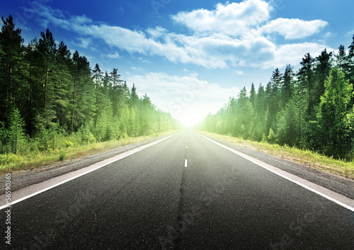 Photo: road in deep forest road in deep forest