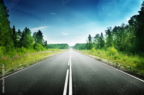 Photo: road in deep forest road in deep forest