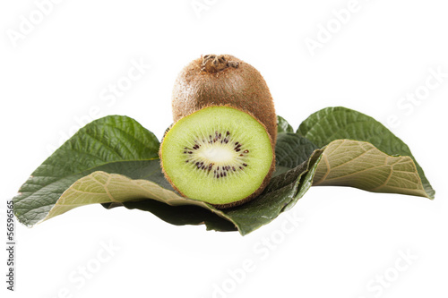 Photo: Kiwi fruit isolated on white background Kiwi fruit isolated on white background
