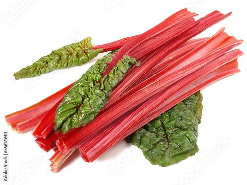 Photo: Mangold - rot Mangold - rot