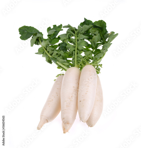 Photo: Daikon radishes isolated on white background Daikon radishes isolated on white background