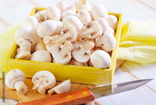 Photo: mushrooms mushrooms