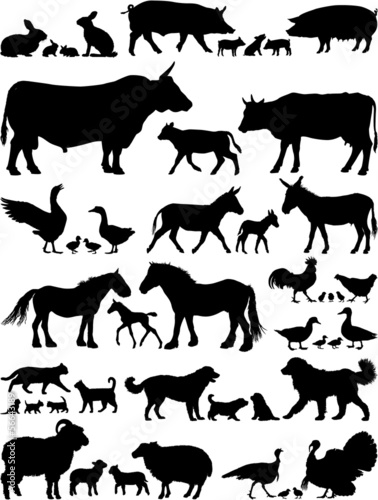 Vector: Farm animals vector silhouettes collection Farm animals vector silhouettes collection