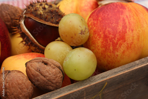 Photo: Corbeille de Fruits de saison - Fin d'été Corbeille de Fruits de saison - Fin d'été