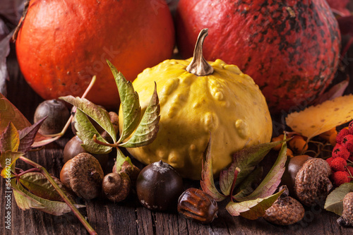 Photo: Pumpkins with acorns and leaves Pumpkins with acorns and leaves