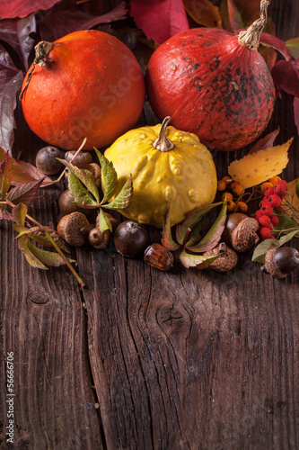 Photo: Pumpkins with acorns and leaves Pumpkins with acorns and leaves