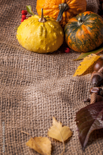 Photo: Pumpkins with acorns and leaves Pumpkins with acorns and leaves