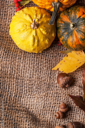Photo: Pumpkins with acorns and leaves Pumpkins with acorns and leaves