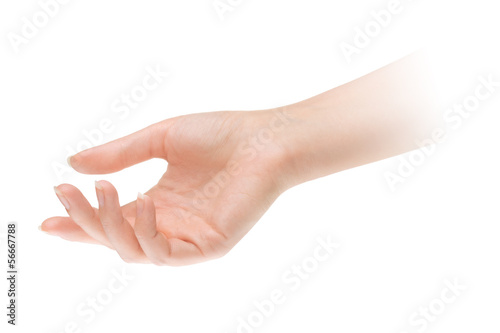 Photo: Empty open woman hand on white background Empty open woman hand on white background